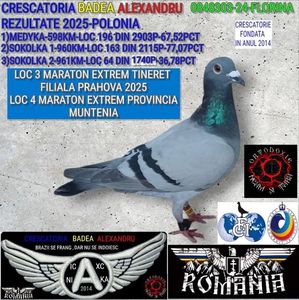 2-FLORINA-0848303-24