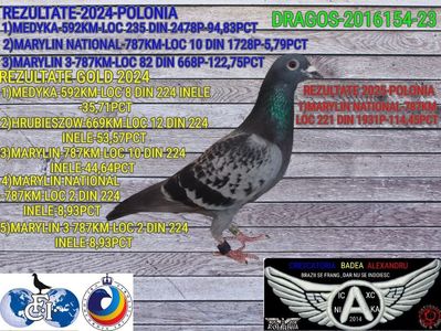 DRAGOS-2016154-23