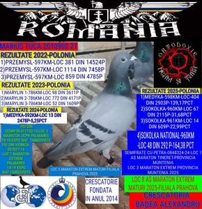 MARIUS TUCA-2010902-21-