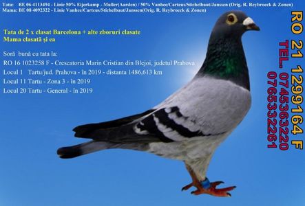 RO 21 1299164 F Pret 400 lei + transportul