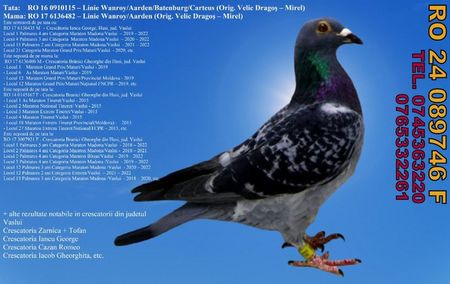 RO 24 089746 F  Pret 400 lei + transportul