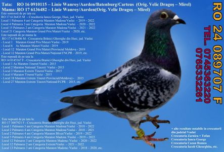 RO 24 089707 F Pret 400 lei + transportul