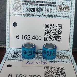 2026 - BE + talon....-8 lei