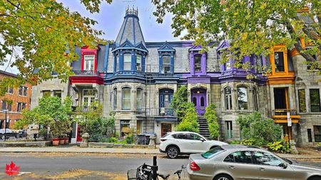 Montreal Fall 10 ST.LOUIS Square