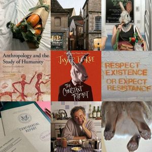 ⠀C̣ọṇṣṭạṇṭ Ṛạḅḅịṭ —J.♥Fforde. ·✭✭✭✫✫·⠀⠀⠀.｡`Standalone྅Fantasy Lit. Fiction´