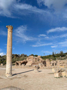 PXL_20251109_114457731