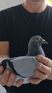 Locul 2 pe lansare 535 km