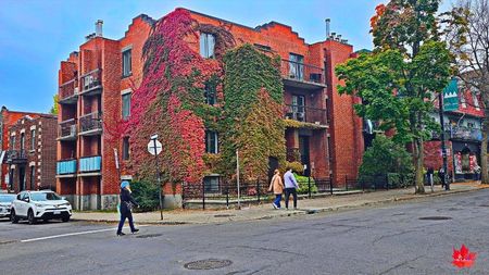 Montreal--Old Town (Plateau Mt.Royal 3