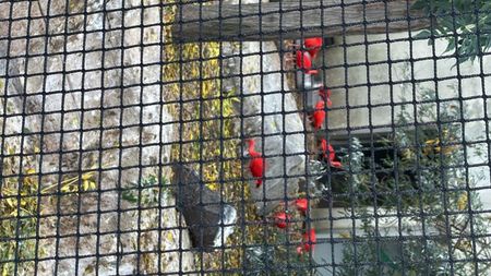 E75A8F35-68E4-4D2F-BFFB-321A204BB471