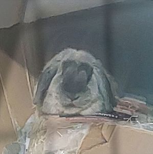 ♡ Day 206 ; 16.11.2025; Bubbles ❤️
