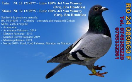 RO 24 089660 F Pret 550 lei + transportul