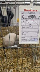 WhatsApp Image 2025-11-17 at 18.50.19