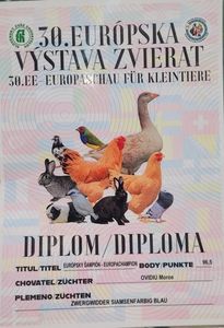 WhatsApp Image 2025-11-17 at 18.50.39