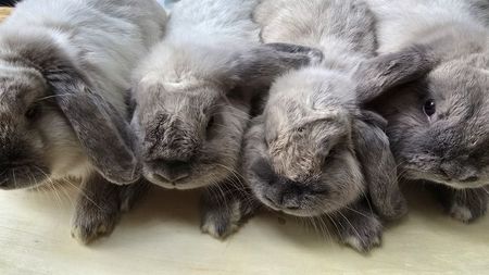 WhatsApp Image 2025-11-17 at 18.53.57