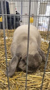 WhatsApp Image 2025-11-17 at 18.51.10