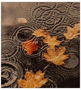 ♡ ɴᴏᴠᴇᴍʙᴇʀ 17 »