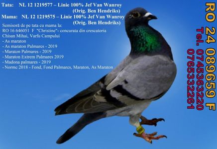 RO 24 089659 F Pret 550 lei + transportul