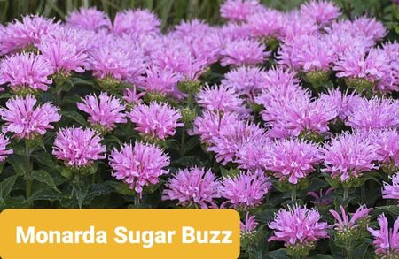 Screenshot_20251111-210605_Google