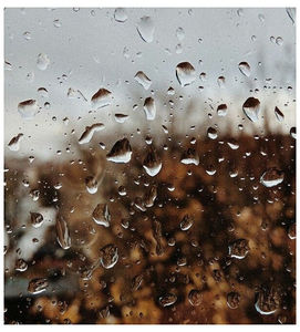 ♡ ɴᴏᴠᴇᴍʙᴇʀ 18 »