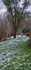 Peste noapte a sosit.