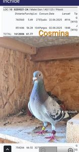 Cosmina Loc 10 Jud Argeș Maraton Tineret