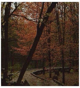 ♡ ɴᴏᴠᴇᴍʙᴇʀ 20 » „If I were a boy.. I think I could understand, how it feels to love a girl,; I swear I d be a better man.” ║ https://www.youtube.com/watch?v=dsCv_NcT0uQ
