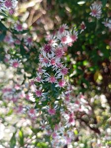 ceafcb5a-e9e6-4e13-bb34-dbd75403b32f-1_all_10332