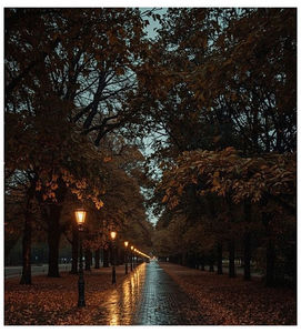 ♡ ɴᴏᴠᴇᴍʙᴇʀ 21 »