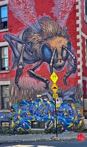 Montreal Street Art 3a