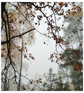 ♡ ɴᴏᴠᴇᴍʙᴇʀ 27 »