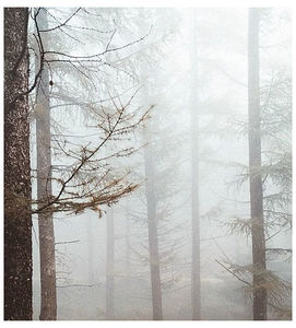 ♡ ɴᴏᴠᴇᴍʙᴇʀ 28 »