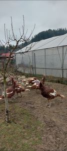 Screenshot_20251204_084627_Gallery