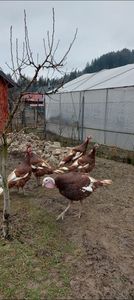 Screenshot_20251204_084619_Gallery