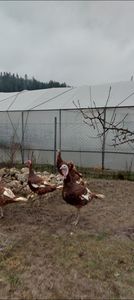 Screenshot_20251204_084610_Gallery