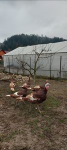 Screenshot_20251204_084555_Gallery