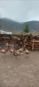 Screenshot_20251204_084540_Gallery