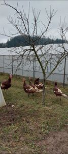 Screenshot_20251204_084515_Gallery