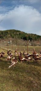 Screenshot_20251209_121526_Gallery