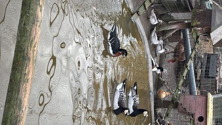 1DF47CBD-733F-44D1-922F-2B9EF3381F23