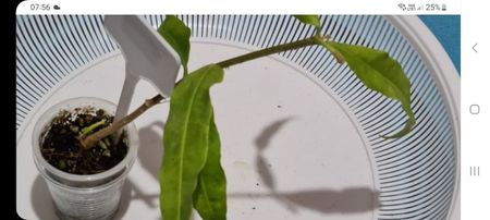 Screenshot_20251213_075658_Chrome