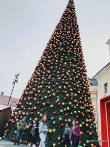 ; La bradul de Craciun din Piata Mare - Sibiu

