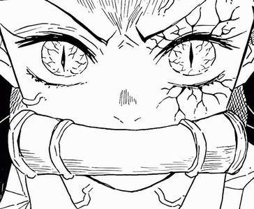 ࿐itsuzai no 　　　　 　　　º°hana yori