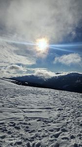 e2615b53-a800-4d37-a09f-b1a2cfd78fe3