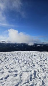 de776f8a-69fe-42b7-b3c2-030ab9a3fa6a