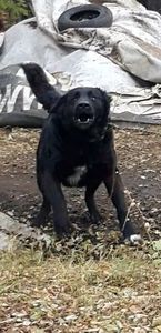 Screenshot_20251217-135229_Video Player