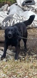 Screenshot_20251217-134458_Video Player