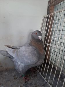 IMG-20251222-WA0048(1)