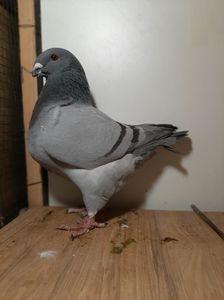 IMG-20251222-WA0042(1)