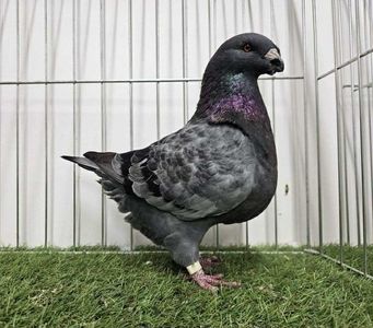 att.wfG_QuUWyIhcUTBeE9ARbIoQOjkq8XhvIjydkHFA6jY