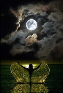 Daca iti PLACE ! SPUNE !; ● Daca iti place vreo poza pe care eu le pun,doar spune ca sa iti trec numele tau,pe ele! ● De asemenea poti cere ce poze sa iti pun si te voi trece pe dedesubt!
12 noiembrie 2020
